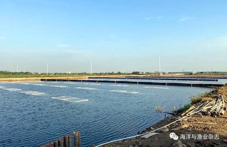 粤百万亩池塘升级改造促水产养殖绿色发展专访珠江所养殖与营养研究室