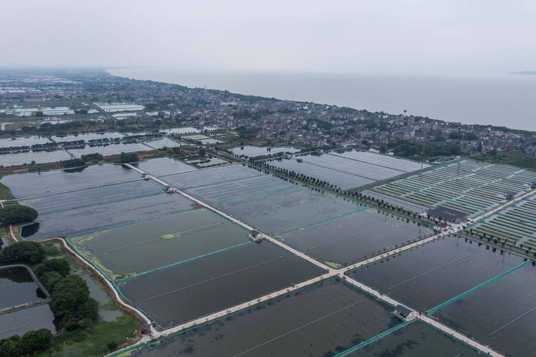 浙江湖州推进特色生态水产养殖助力乡村共同富裕